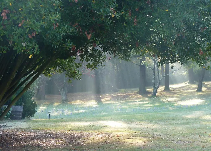 Domaine Du Champ Fleuri 3* Angouleme